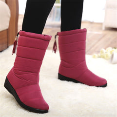 Winter Women Boots Female Waterproof Tassel Ankle Boots Down Snow Boots Ladies Shoes Woman Warm Fur Botas Mujer Elastic Band