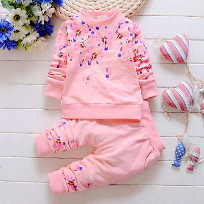 Baby Girl Clothing Sets Fashion Long Sleeve Print Flower Toddler Tshirt + Pants 2PCS 1 2 3 4 Years Kids Girls Wear