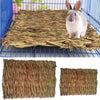 New Hamster Grass Mat Pet  Rabbit Chew Mat Breakers Toy Small Animal Rat Guinea Pig Interesting Pet Toys 2 Sizes