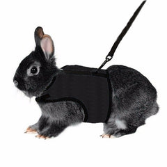 4 Colors Hamster Rabbit Pet Harness with Lead Set Ferret Guinea Pig Small Animal Pet Walk Lead Leash Bunny Little Pets XS-L