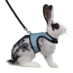 4 Colors Hamster Rabbit Pet Harness with Lead Set Ferret Guinea Pig Small Animal Pet Walk Lead Leash Bunny Little Pets XS-L