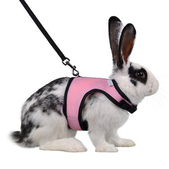 4 Colors Hamster Rabbit Pet Harness with Lead Set Ferret Guinea Pig Small Animal Pet Walk Lead Leash Bunny Little Pets XS-L