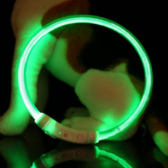 Adjustable USB Charging Pet Dog Collar Rechargeable LED Tube Flashing Night Dog Collars Glowing Luminous Safety Pets Dog Collar