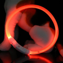 Adjustable USB Charging Pet Dog Collar Rechargeable LED Tube Flashing Night Dog Collars Glowing Luminous Safety Pets Dog Collar