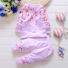 Baby Girl Clothing Sets Fashion Long Sleeve Print Flower Toddler Tshirt + Pants 2PCS 1 2 3 4 Years Kids Girls Wear